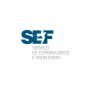 Logo SEF, Posto de Atendimento de Viseu