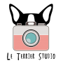 Logo Le Terrier Studio
