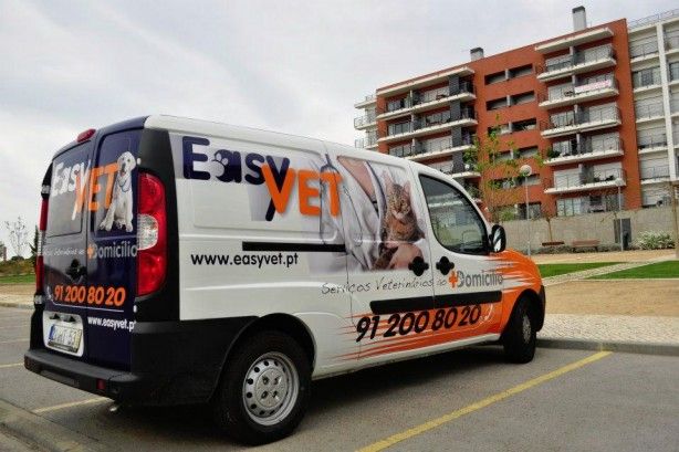 Foto de Easyvet - Veterinarios ao Domicilio