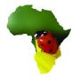 Logo Africa das Joaninhas - loja online