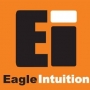 Centro de Formação Eagle Intuition
