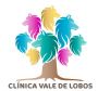 Logo Clínica Vale de Lobos 