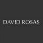 Logo David Rosas, Lda