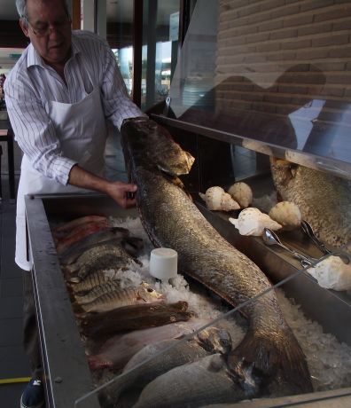 Foto de Algarve Fish Restaurante