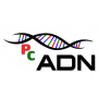 Logo Pc Adn