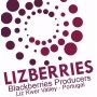 Logo Lizberries - Produtores de Amoras do Vale do Liz, Lda