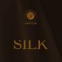 Logo Silk Club