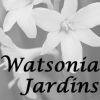 Watsonia Jardins